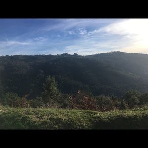 Meet your Posher, Diane